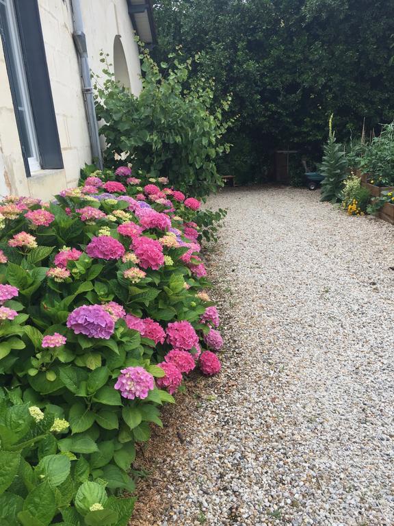 Domaine Des Deux Cedres Bed & Breakfast Gauriac Exterior photo